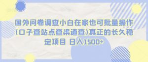 国外问卷调查小白在家也可批量操作(口子查站点查渠道查)真正的长久稳定项目 日入1500+【揭秘】-阳知网创资源库
