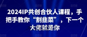 2024IP共创合伙人课程，手把手教你“割韭菜”，下一个大佬就是你-阳知网创资源库