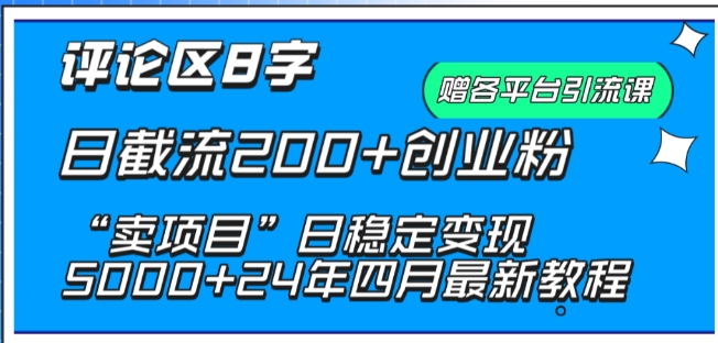 抖音评论区8字日截流200+创业粉 “卖项目”日稳定变现5000+【揭秘】-阳知网创资源库