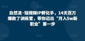 自然流·短视频IP孵化手,14天百万爆款了训练营,带你迈出“月入5w新职业”第一步-阳知网创资源库