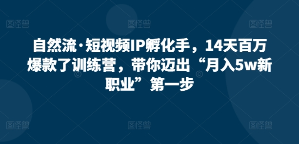 自然流·短视频IP孵化手,14天百万爆款了训练营,带你迈出“月入5w新职业”第一步-阳知网创资源库