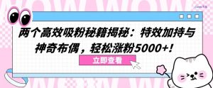 两个高效吸粉秘籍揭秘:特效加持与神奇布偶,轻松涨粉5000+【揭秘】-阳知网创资源库