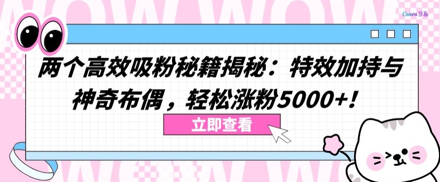 两个高效吸粉秘籍揭秘:特效加持与神奇布偶,轻松涨粉5000+【揭秘】-阳知网创资源库