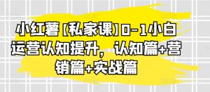 小红薯【私家课】0-1小白运营认知提升,认知篇+营销篇+实战篇-阳知网创资源库