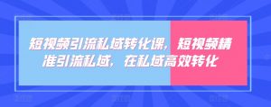 短视频引流私域转化课,短视频精准引流私域,在私域高效转化-阳知网创资源库