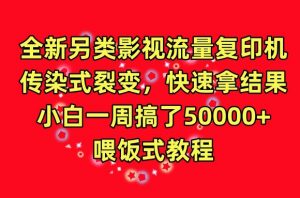 全新另类影视流量复印机，传染式裂变，快速拿结果，小白一周搞了50000+，喂饭式教程【揭秘】-阳知网创资源库