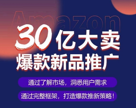 亚马逊·30亿大卖爆款新品推广,可复制、全程案例实操的爆款推新SOP-阳知网创资源库