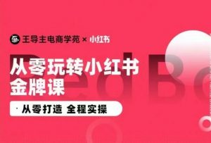 王导主·小红书电商运营实操课,从零打造 全程实操-阳知网创资源库