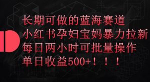 长期可做的蓝海赛道，小红书孕妇宝妈暴力拉新玩法，每日两小时可批量操作，单日收益500+【揭秘】-阳知网创资源库