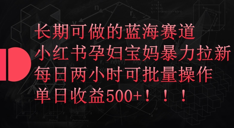 长期可做的蓝海赛道，小红书孕妇宝妈暴力拉新玩法，每日两小时可批量操作，单日收益500+【揭秘】-阳知网创资源库