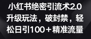小红书绝密引流术2.0升级玩法,破封禁,轻松日引100+精准流量【揭秘】-阳知网创资源库