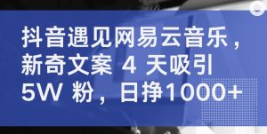 抖音遇见网易云音乐，新奇文案 4 天吸引 5W 粉，日挣1000+【揭秘】-阳知网创资源库