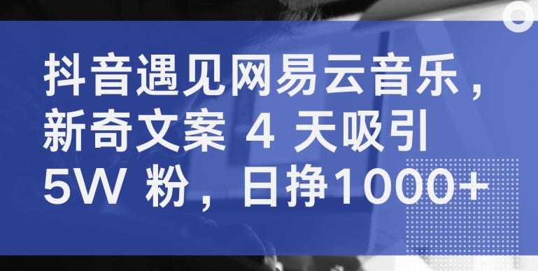 抖音遇见网易云音乐,新奇文案 4 天吸引 5W 粉,日挣1000+【揭秘】-阳知网创资源库