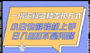 一份资料多种变现方式,小白也能轻松上手,日入800不是问题【揭秘】-阳知网创资源库