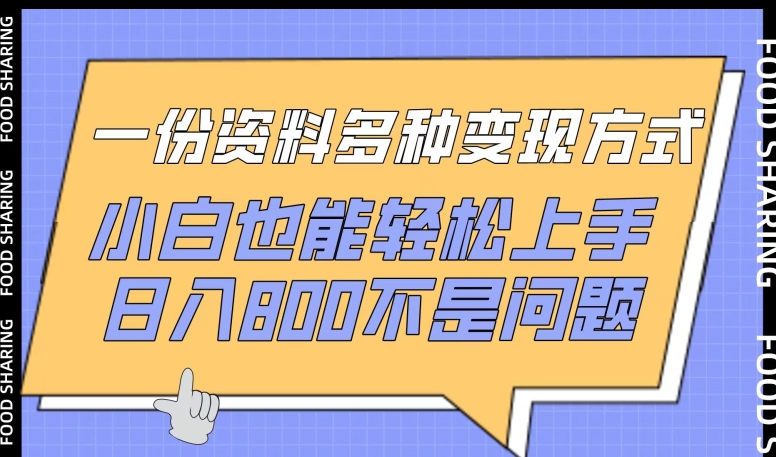 一份资料多种变现方式,小白也能轻松上手,日入800不是问题【揭秘】-阳知网创资源库