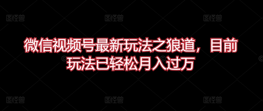 微信视频号最新玩法之狼道,目前玩法已轻松月入过万【揭秘】-阳知网创资源库