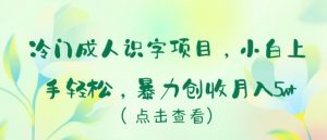 冷门成人识字项目，小白上手轻松，暴力创收月入5w+【揭秘】-阳知网创资源库