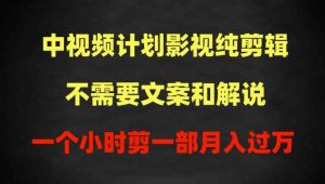 中视频计划影视纯剪辑,不需要文案和解说,一个小时剪一部,100%过原创月入过万【揭秘】-阳知网创资源库