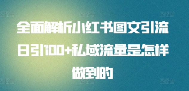 全面解析小红书图文引流日引100+私域流量是怎样做到的【揭秘】-阳知网创资源库