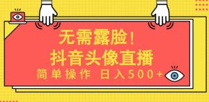无需露脸，Ai头像直播项目，简单操作日入500+【揭秘】-阳知网创资源库
