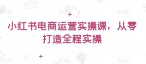 小红书电商运营实操课,从零打造全程实操-阳知网创资源库