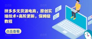拼多多无货源电商，原创实操技术+高阶更新，保姆级教程-阳知网创资源库