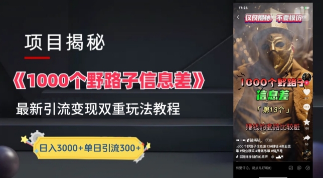 一千个野路子信息差最新玩法教程-变现+引流的玩法具体拆解【揭秘】-阳知网创资源库