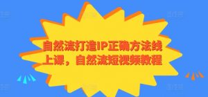 自然流打造IP正确方法线上课，自然流短视频教程-阳知网创资源库