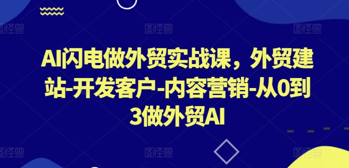 AI闪电做外贸实战课，​外贸建站-开发客户-内容营销-从0到3做外贸AI-阳知网创资源库