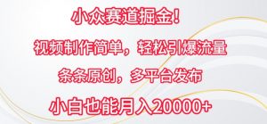 小众赛道掘金，视频制作简单，轻松引爆流量，条条原创，多平台发布【揭秘】-阳知网创资源库
