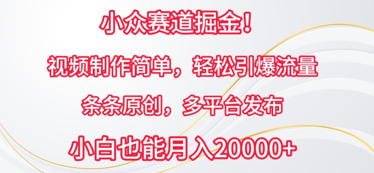 小众赛道掘金,视频制作简单,轻松引爆流量,条条原创,多平台发布【揭秘】-阳知网创资源库