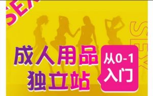 成人用品独立站从0-1入门,成品独立站运营全流程教学,七大好卖成品独立站推荐-阳知网创资源库