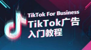 TikTok广告入门教程,从0到1掌握TikTok投放的全流程-阳知网创资源库