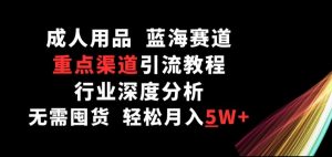 成人用品,蓝海赛道,重点渠道引流教程,行业深度分析,无需囤货,轻松月入5W+【揭秘】-阳知网创资源库
