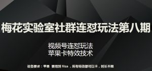 梅花实验室社群连怼玩法第八期,视频号连怼玩法 苹果卡特效技术【揭秘】-阳知网创资源库