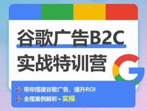 谷歌广告B2C实战特训营,500+谷歌账户总结经验,实战演示如何从0-1搭建广告账户-阳知网创资源库