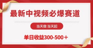 最新中视频必爆赛道，当天做当天起，单日收益300-500+【揭秘】-阳知网创资源库