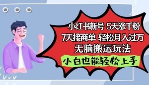 小红书影视泥巴追剧5天涨千粉,7天接商单,轻松月入过万,无脑搬运玩法【揭秘】-阳知网创资源库