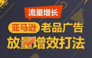流量增长 亚马逊老品广告放量增效打法，短期内广告销量翻倍-阳知网创资源库