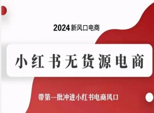 2024新风口电商,小红书无货源电商,带第一批冲进小红书电商风口-阳知网创资源库