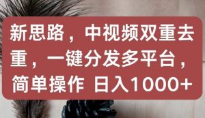 新思路,中视频双重去重,一键分发多平台,简单操作,日入1000+【揭秘】-阳知网创资源库