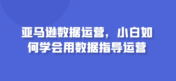 亚马逊数据运营,小白如何学会用数据指导运营-阳知网创资源库