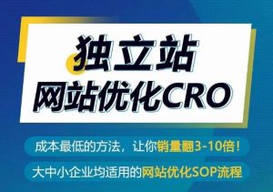 独立站网站优化CRO,成本最低的方法,让你销量翻3-10倍-阳知网创资源库