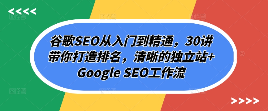 谷歌SEO从入门到精通,30讲带你打造排名,清晰的独立站+Google SEO工作流-阳知网创资源库