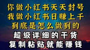 都知道小红书能引流私域变现,可为什么我能一天引流几十人变现上千,但你却频频封号违规被限流【揭秘】-阳知网创资源库