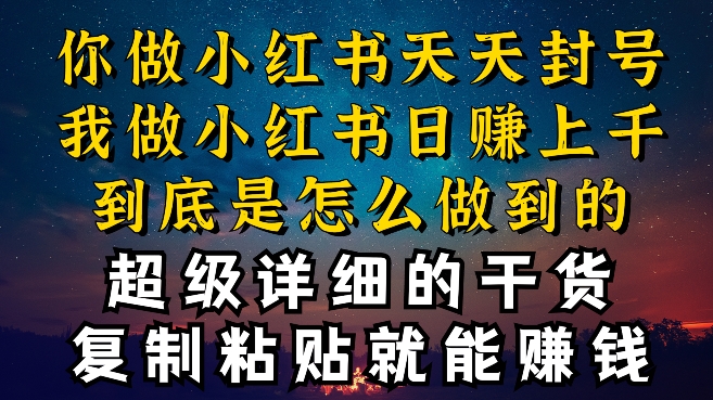都知道小红书能引流私域变现,可为什么我能一天引流几十人变现上千,但你却频频封号违规被限流【揭秘】-阳知网创资源库