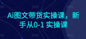 Ai图文带货实操课,新手从0-1 实操课-阳知网创资源库
