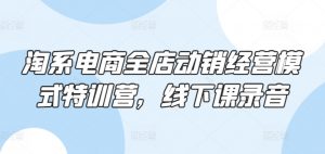 淘系电商全店动销经营模式特训营,线下课录音-阳知网创资源库