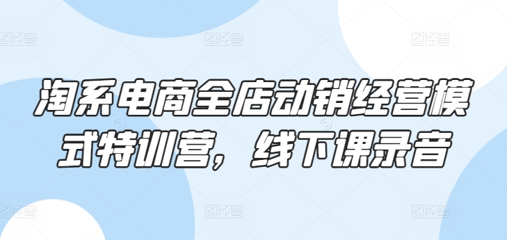 淘系电商全店动销经营模式特训营,线下课录音-阳知网创资源库