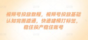 视频号投放教程,视频号投放基础认知完善疏通,快速建模打标签,稳住投产稳住账号-阳知网创资源库